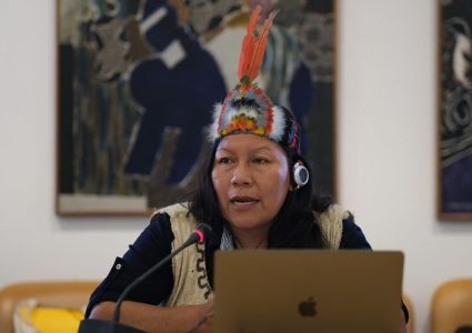 Präsidentin der indigenen Nation der Sapará aus Ecuador, Nema Grefa Ushigua. Foto: Hanno Schedler / GfbV.