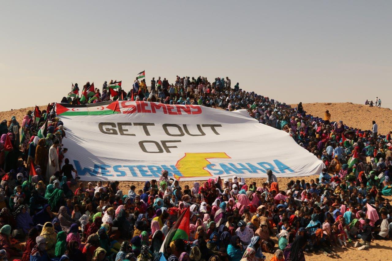 Manifestazione sahrawi per la protezione delle risorse naturali del Sahara occidentale. Foto: www.wsrw.org.