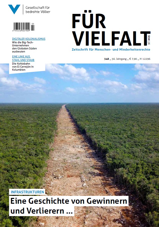 Infrastrukturen: Eine Geschichte von Gewinnern und Verlierern ... Für Vielfalt 348, 3/2025
