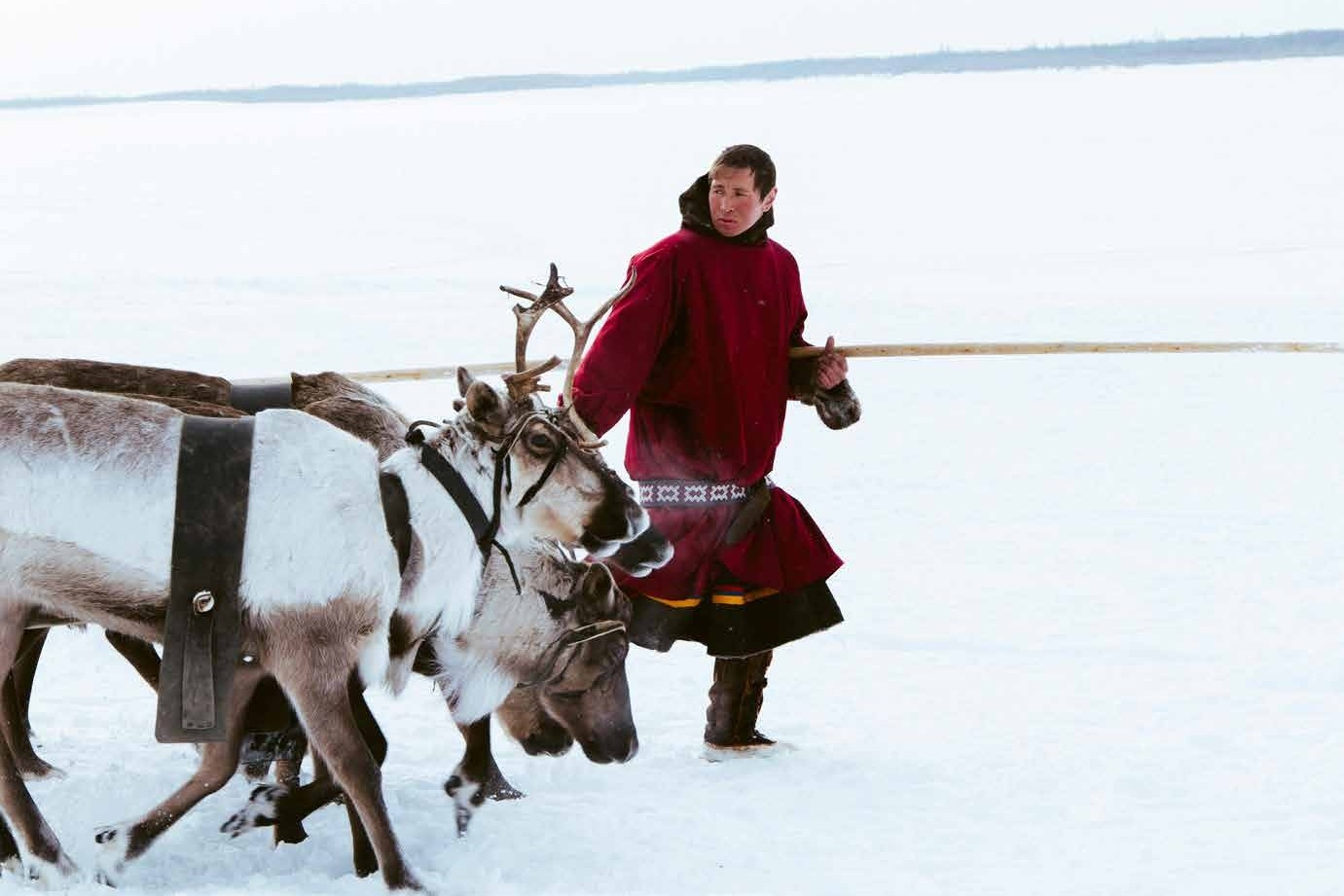 Un pastore di renne sami in abiti tradizionali. Foto: Pexels