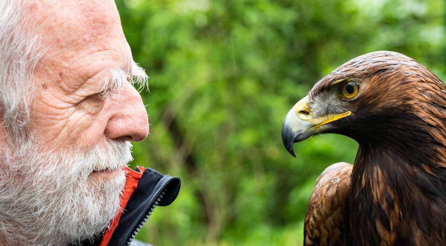 „Mitakuye Oyasin“ („Wir sind alle verwandt“) sagen die Lakota und sehen Tiere, wie den Adler, als Mitwesen auf Augenhöhe. Foto: Nomi Baumgartl